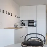 Lecomte - The Shoreline Experience Premium 184