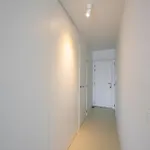 Lecomte - The Shoreline Experience Premium 184 Lejlighed *